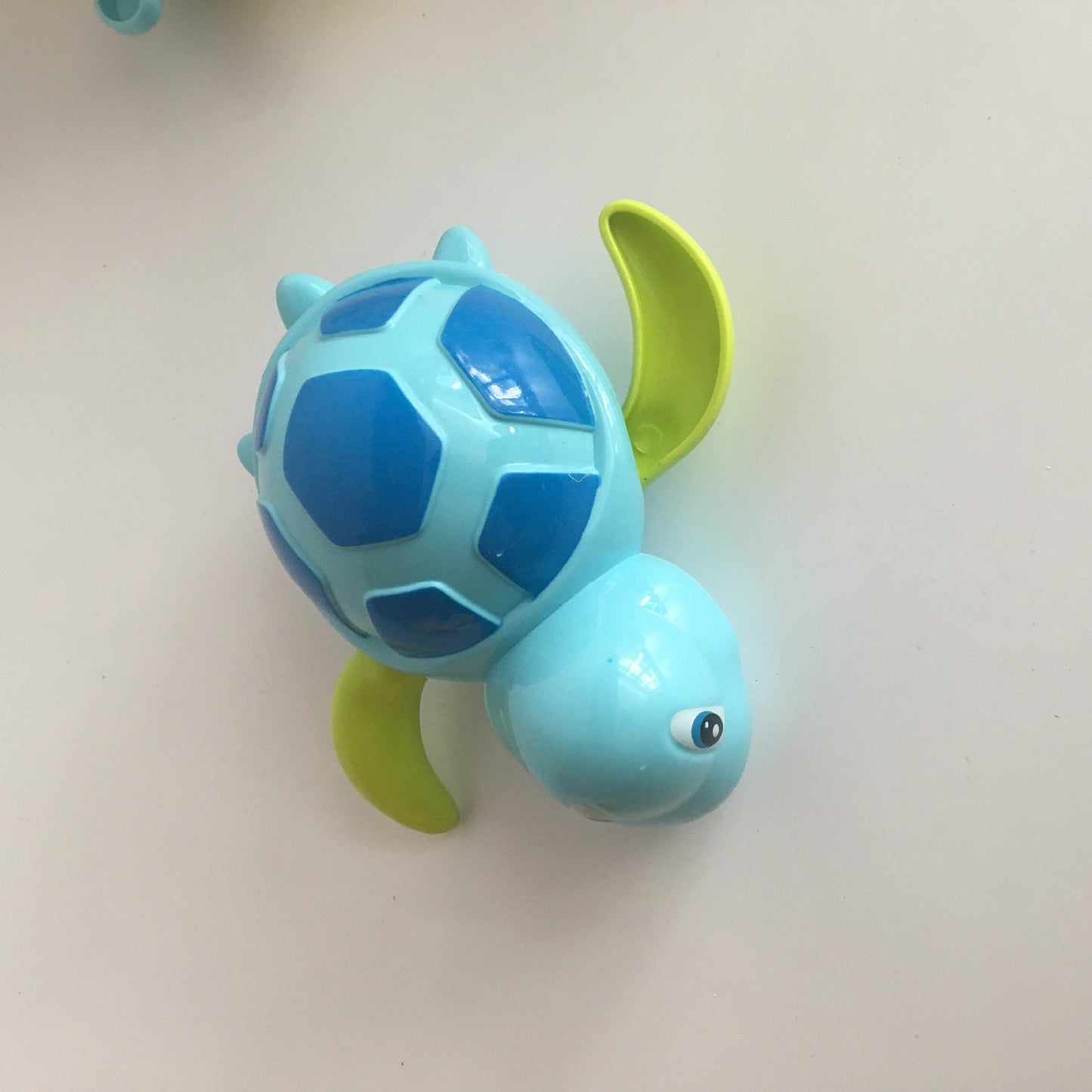 Splashy Turtle Wind-Up Toy for Kids