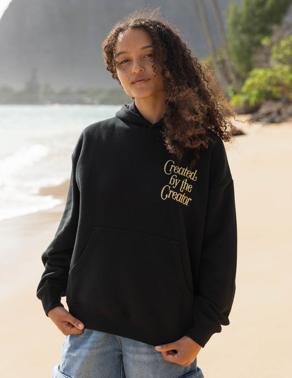 Unisex Hoodie With Colossians 1 16 Bible Verse Created By The Creator Black by Elevated Faith