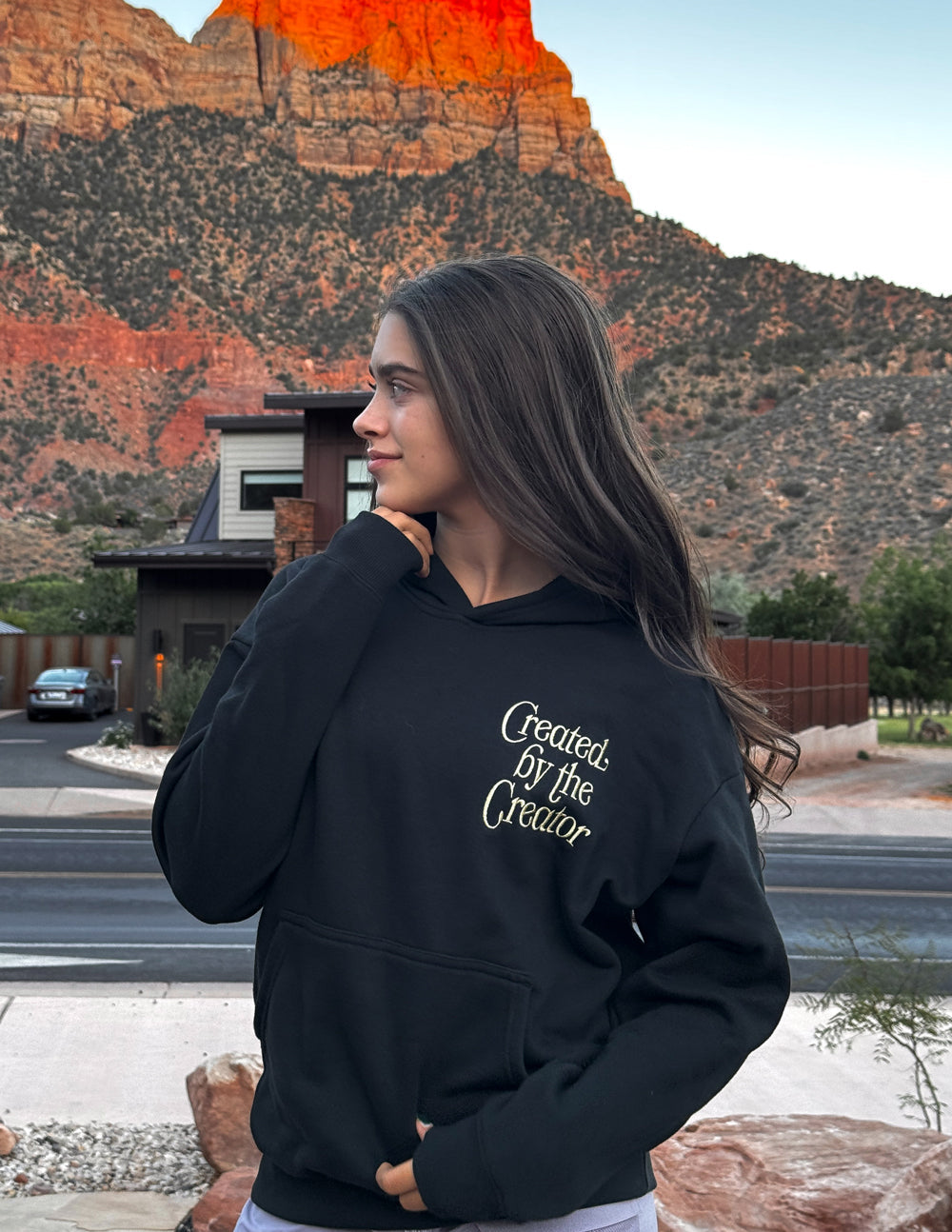 Unisex Hoodie With Colossians 1 16 Bible Verse Created By The Creator Black by Elevated Faith