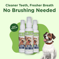 Oral Care Gel - Peppermint by Adore Pet