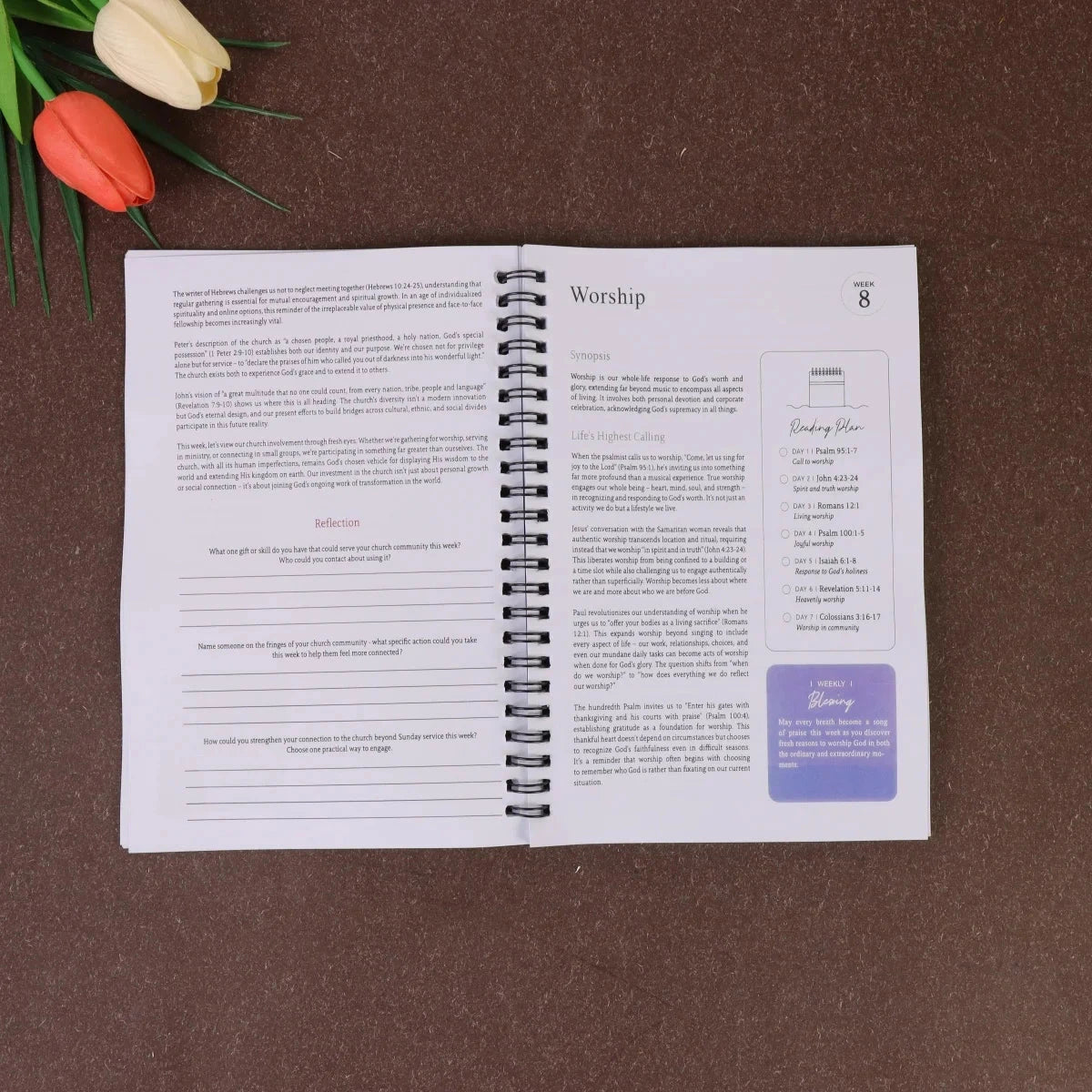 The 365 Day Bible Study Workbook For Women: A Year of Empowering, Strengthen Your Spirit,Build Your Relationship with God by Creative Vault Marketplace