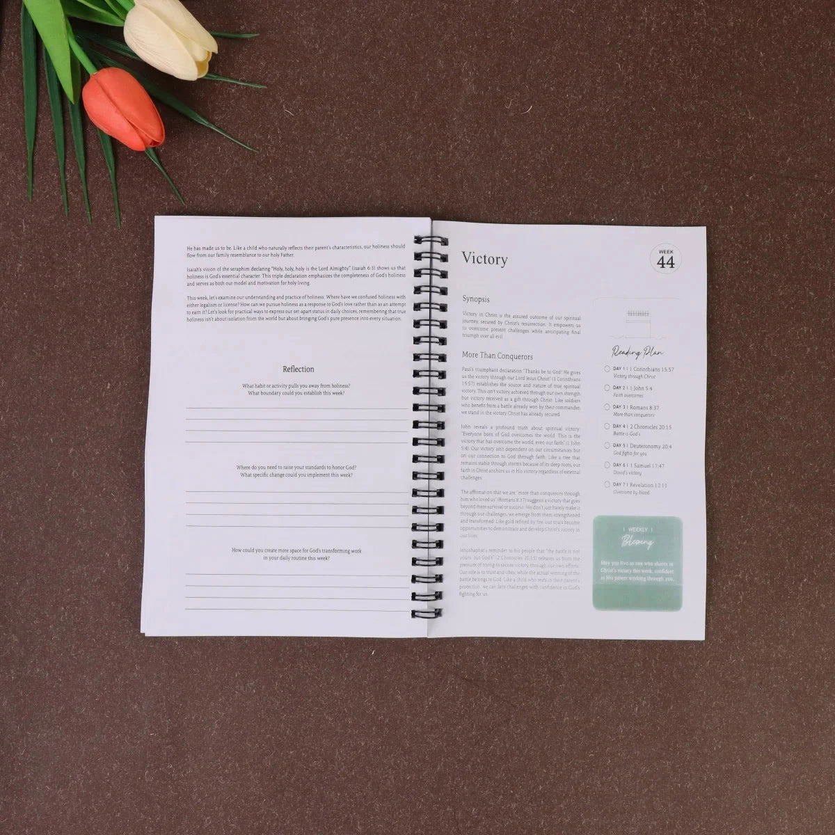 The 365 Day Bible Study Workbook For Women: A Year of Empowering, Strengthen Your Spirit,Build Your Relationship with God by Creative Vault Marketplace