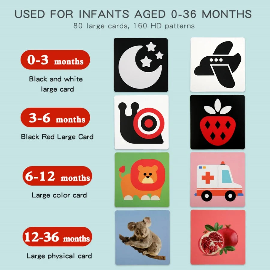 Black and red visual early education card for newborns, visual stimulation of color cognition, flashing new children's early edu by Creative Vault Marketplace