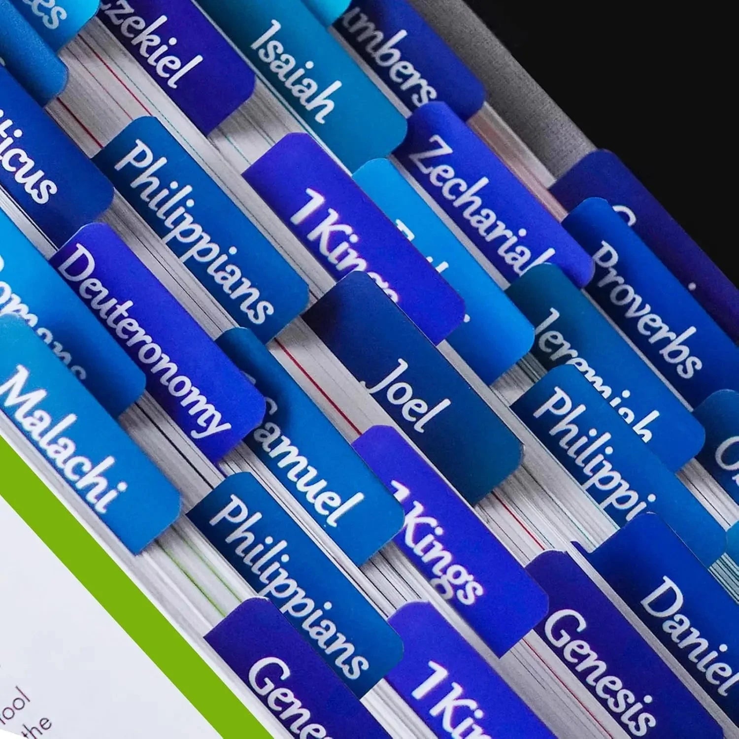 Bible Tabs for Women and Men Easy to Remove & Read Bible Book Tabs for Study Bible Index Tabs for Old and New Testament Bible by Creative Vault Marketplace