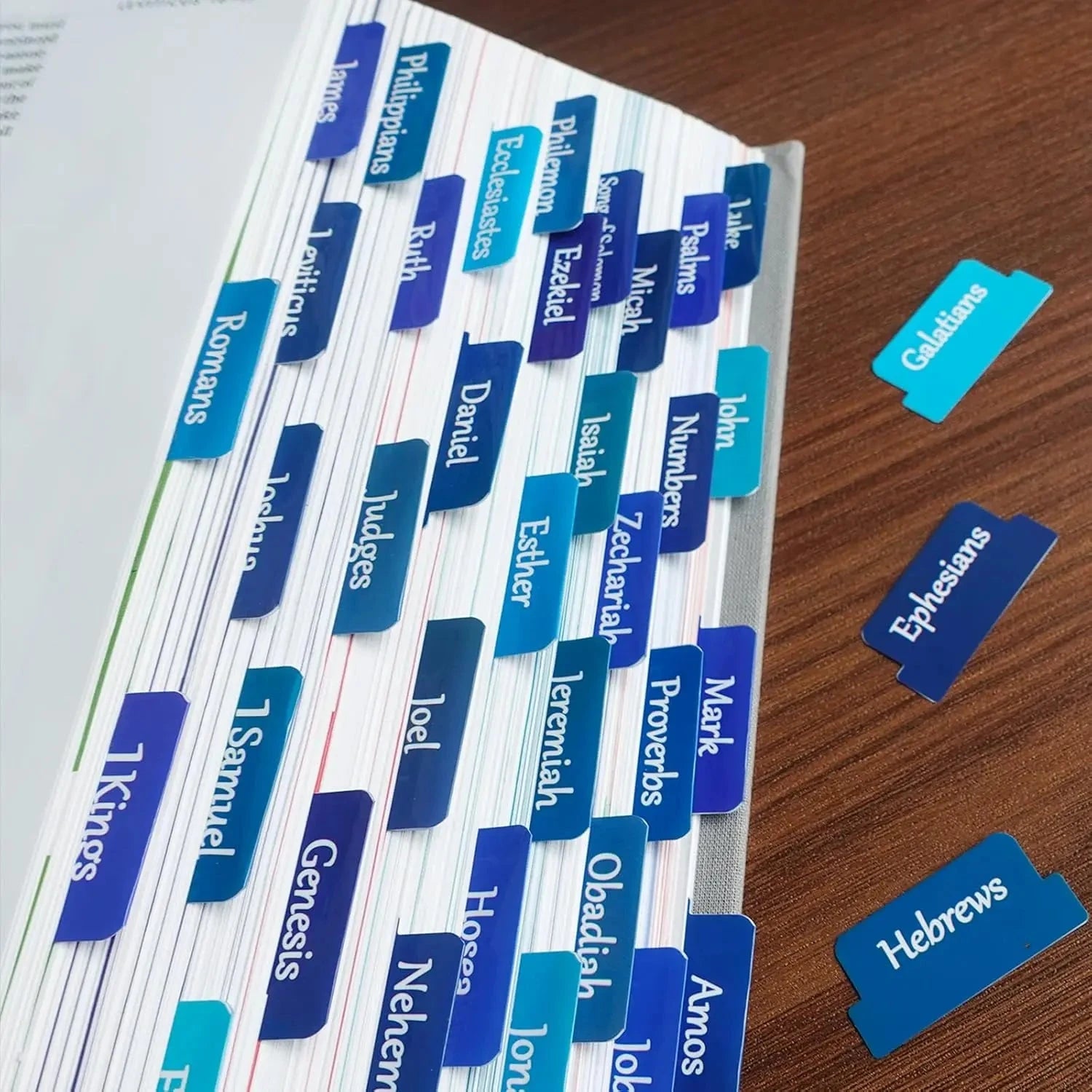 Bible Tabs for Women and Men Easy to Remove & Read Bible Book Tabs for Study Bible Index Tabs for Old and New Testament Bible by Creative Vault Marketplace
