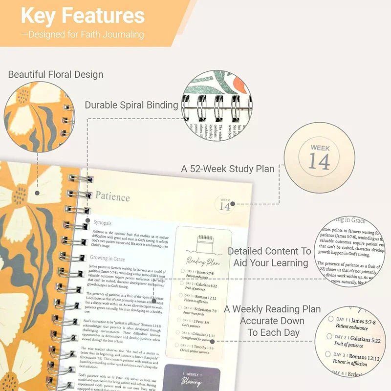 In A Year Study Journal With 52-Week Reading Plan, Gifts For Devotional Journaling, A5 Devotional Notebook by Creative Vault Marketplace