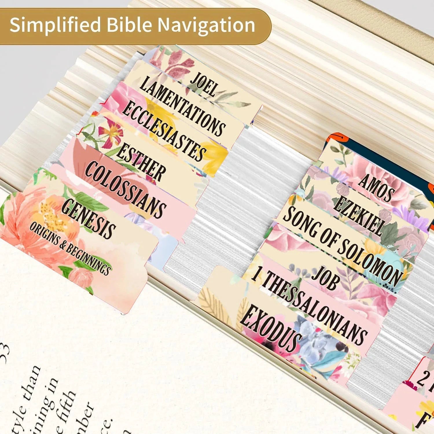 75pcs Large Font Sacred Text Index Tabs Inspirational Book Titles & Abstracts, Easy Peel-Off Labels For faith-based Study Bibles by Creative Vault Marketplace
