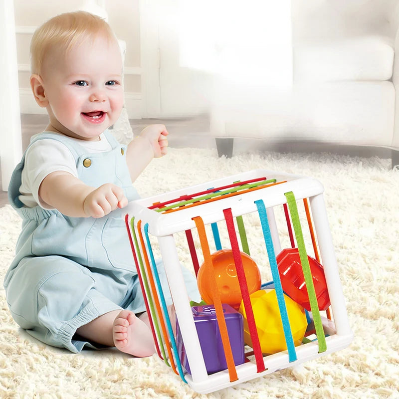 Montessori Toys Children 0-12 Months Early Education Rainbow Cesare Enlightening and Grasping Sensory Training Baby Toys Plastic by Creative Vault Marketplace