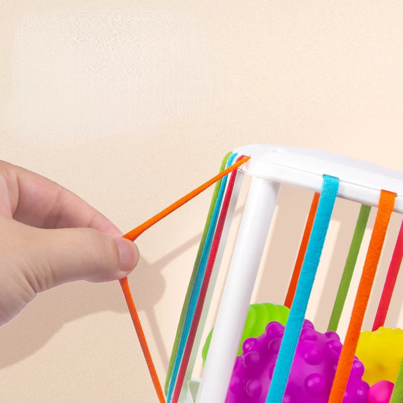 Montessori Toys Children 0-12 Months Early Education Rainbow Cesare Enlightening and Grasping Sensory Training Baby Toys Plastic by Creative Vault Marketplace