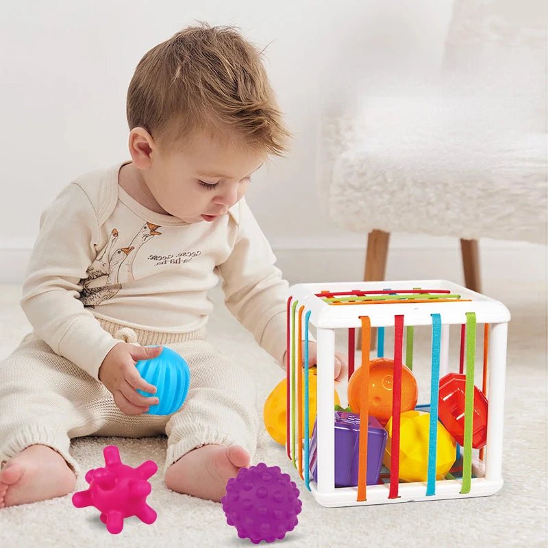 Montessori Toys Children 0-12 Months Early Education Rainbow Cesare Enlightening and Grasping Sensory Training Baby Toys Plastic by Creative Vault Marketplace
