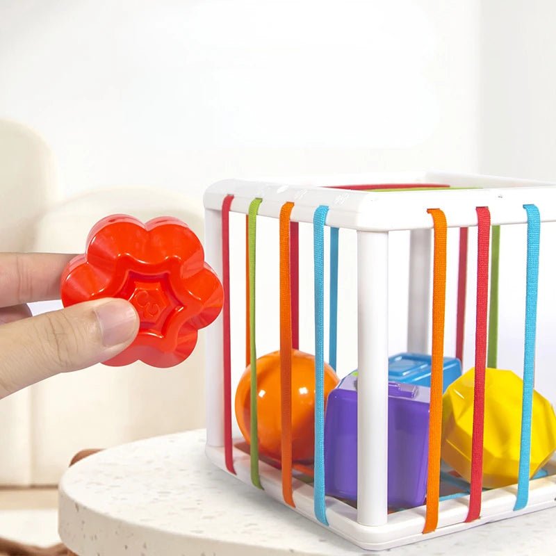 Montessori Toys Children 0-12 Months Early Education Rainbow Cesare Enlightening and Grasping Sensory Training Baby Toys Plastic by Creative Vault Marketplace