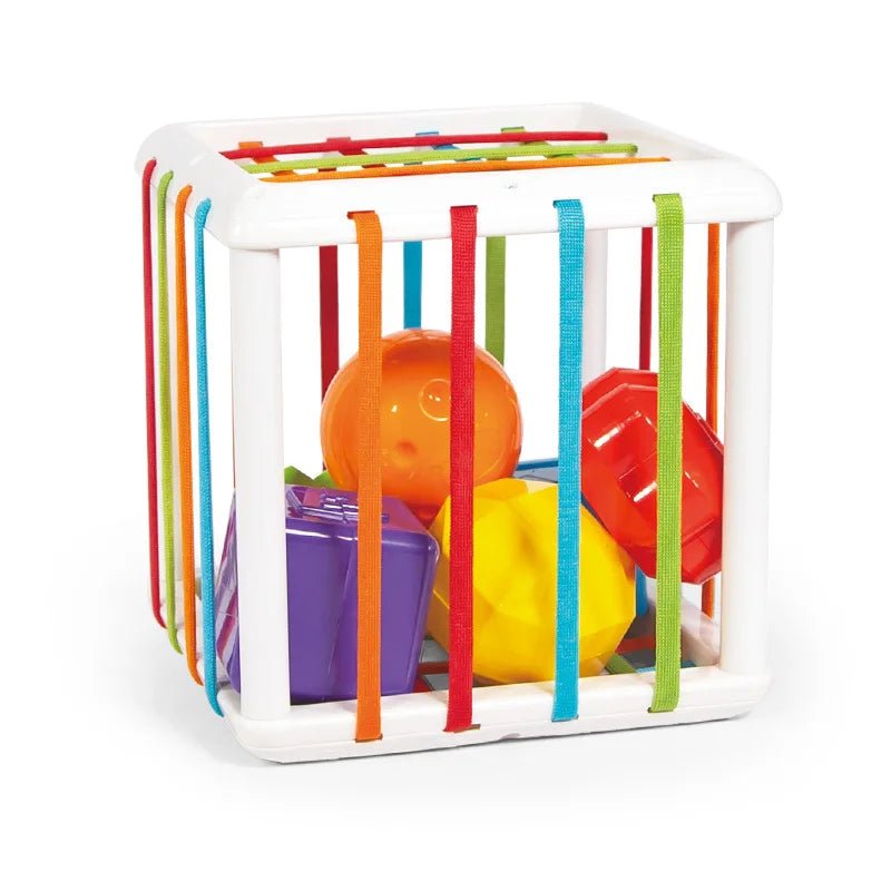 Montessori Toys Children 0-12 Months Early Education Rainbow Cesare Enlightening and Grasping Sensory Training Baby Toys Plastic by Creative Vault Marketplace