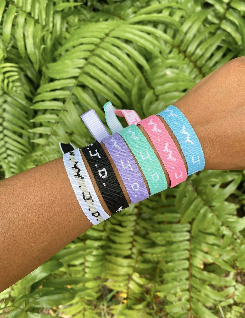 WWJD Bracelet Pack by Elevated Faith