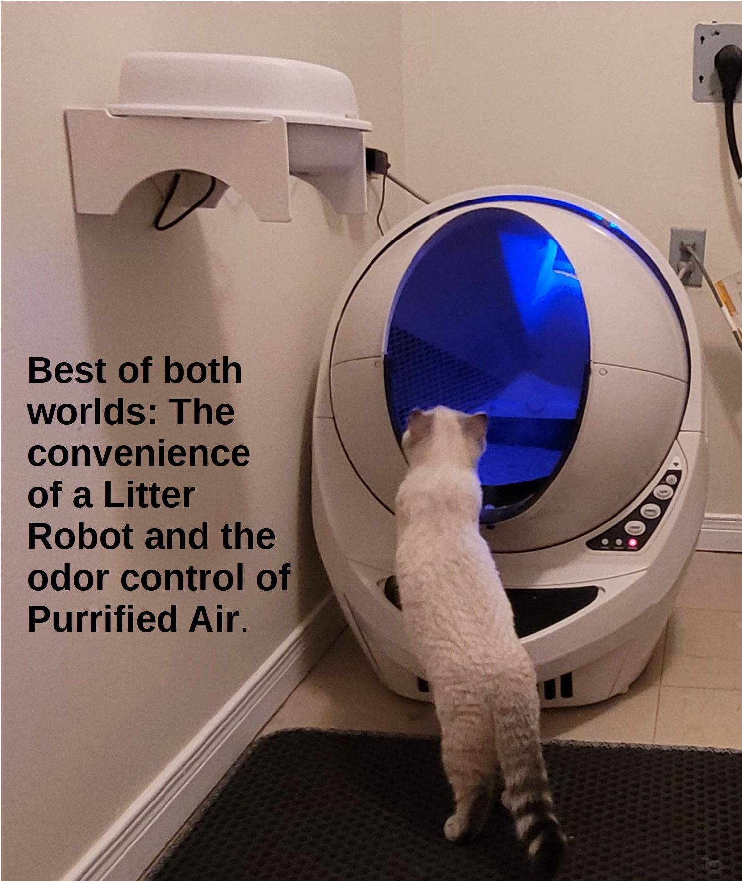 Litter Box Air Purifier by Purrified Air