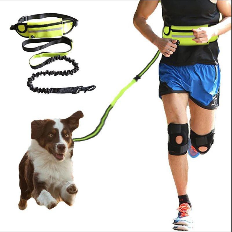 Hands Free Dog Leash Pet Walking And Training Belt With Shock Absorbing Bungee Leash For Up To 180lbs Large Dogs Phone Pocket And Water Bottle Holder by Pet Zen