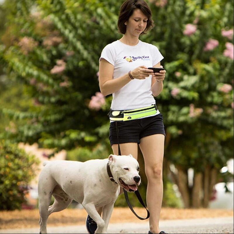 Hands Free Dog Leash Pet Walking And Training Belt With Shock Absorbing Bungee Leash For Up To 180lbs Large Dogs Phone Pocket And Water Bottle Holder by Pet Zen