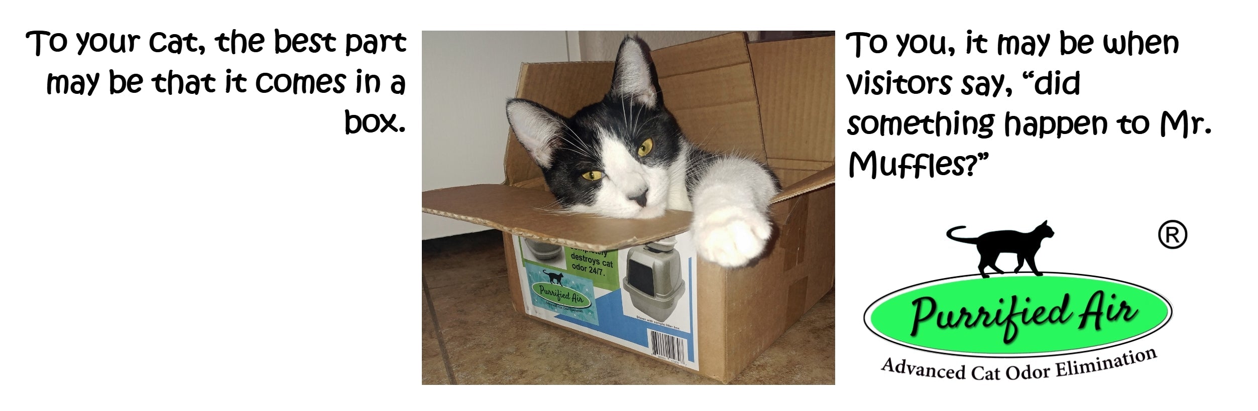 Litter Box Air Purifier by Purrified Air