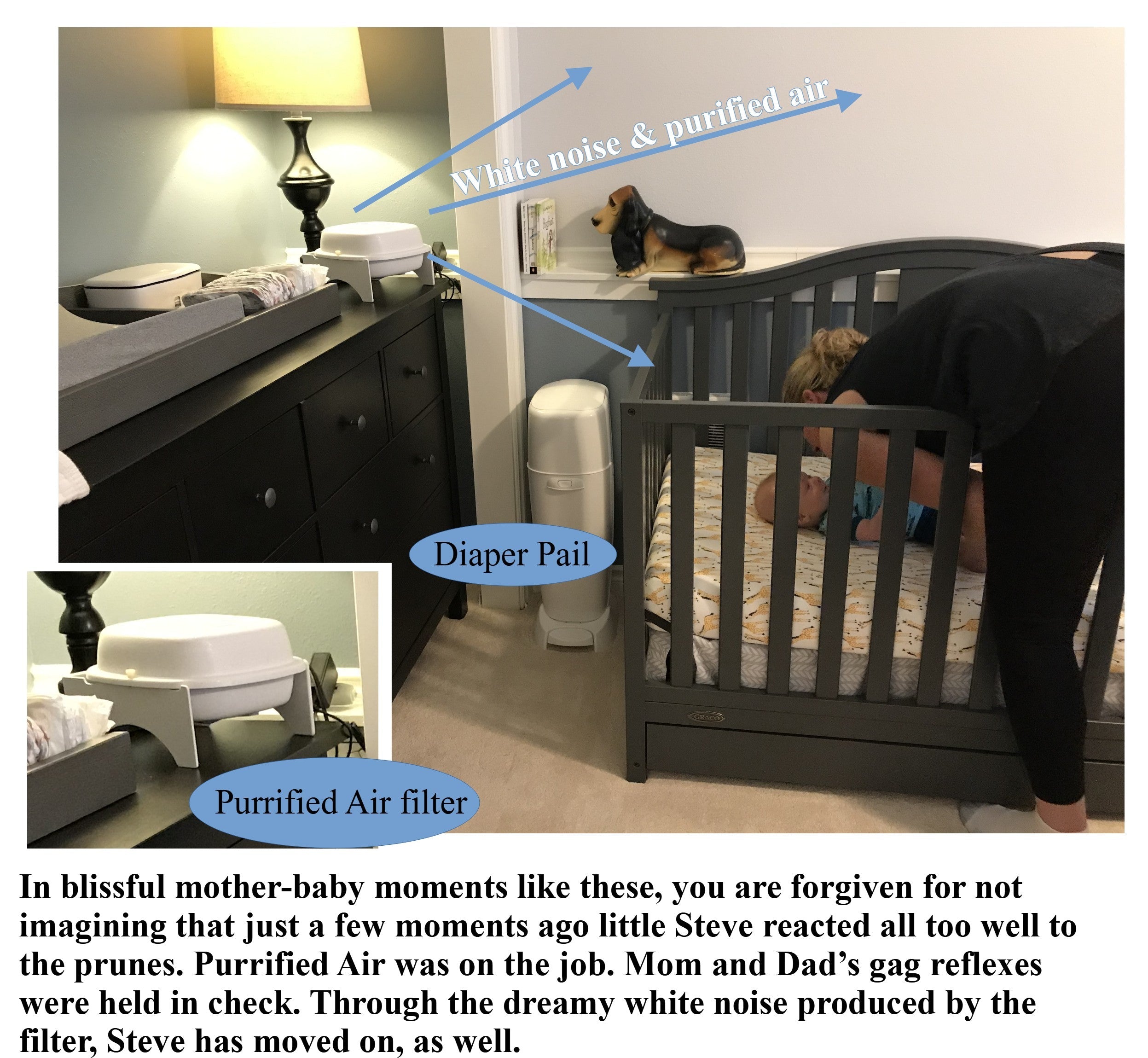 Litter Box Air Purifier by Purrified Air